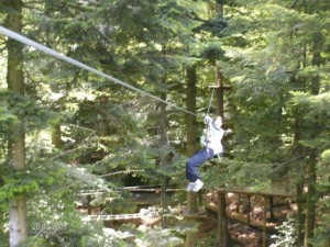 Zip Wire